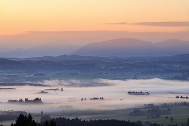 Deutschland, Bayern, Oberbayern, Allgäu, Pfaffenwinkel, Blick vom Auerberg bei Bernbeuren, Morgennebel über dem Lechtal bei Sonnenaufgang - SIEF07637