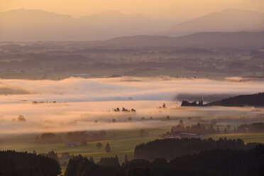 Germany, Bavaria, Upper Bavaria, Allgaeu, Pfaffenwinkel, View from Auerberg near Bernbeuren, Lech Valley, morning fog during sunrise - SIEF07639