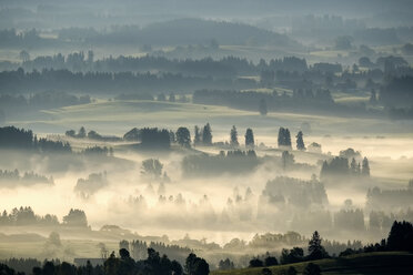 Germany, Bavaria, Upper Bavaria, Allgaeu, Pfaffenwinkel, View from Auerberg near Bernbeuren, morning fog - SIEF07644