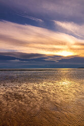 Great Britain, Scotland, Solway Firth, mud flats, sunset - SMAF00887