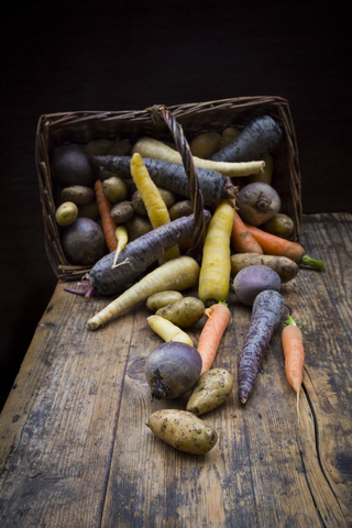 Winter vegetables, carrot, beetroot, potato and parsnip stock photo