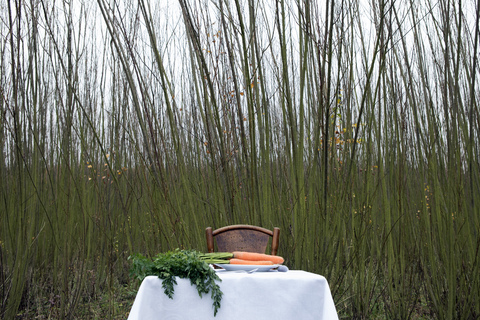 Dinner for one, laid table, bunch of carrots stock photo