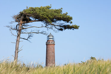 Deutschland, Mecklenburg-Vorpommern, Fischland-Darss-Zingst, Darss, Nationalpark Vorpommersches Haffgebiet, Blick auf Leuchtturm - WIF03470