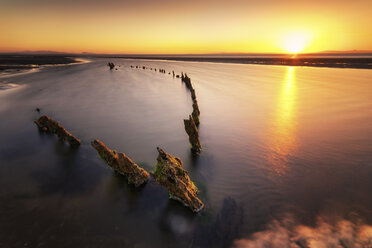 Großbritannien, Schottland, East Lothian, Aberlady Nature Reserve, Schiffswrack bei Sonnenuntergang - SMAF00893