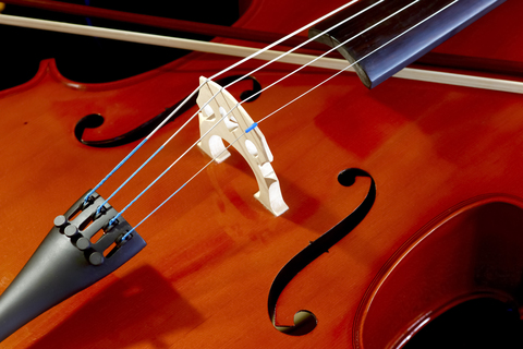 Cello, close-up stock photo