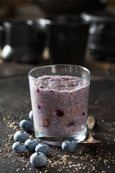 Dessert of chia seeds, cacao nibs and blueberries - CSF28609