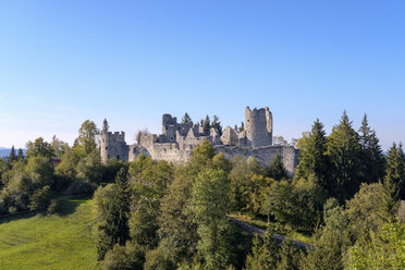 Deutschland, Bayern, Schwaben, Allgäu, Ostallgäu, Eisenberg, Schloss Hohenfreyberg - SIEF07646