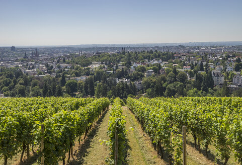 Deutschland, Hessen, Wiesbaden, Blick vom Neroberg - PVCF01214