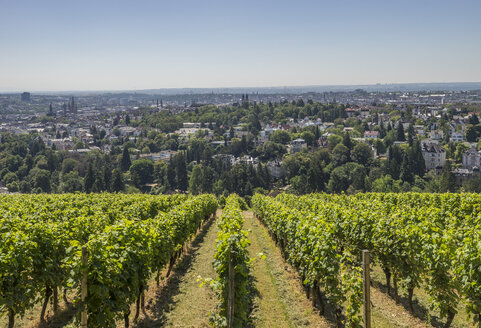 Germany, Hesse, Wiesbaden, View from Neroberg - PVCF01214