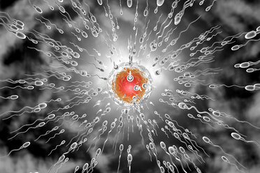 3D Rendered Illustration, visualisation of sperm cells racing to a egg to fertilise - SPCF00264
