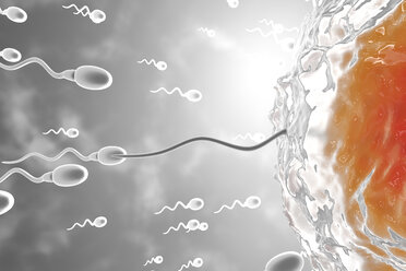3D Rendered Illustration, visualisation of sperm cells racing to a egg to fertilise - SPCF00265