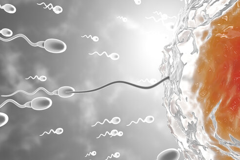 3D gerenderte Illustration, Visualisierung von Spermien, die zu einer Eizelle rasen, um sie zu befruchten - SPCF00265