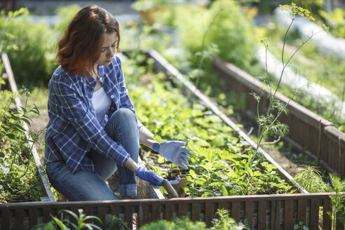 Junge Frau pflanzt Erdbeerpflanzen im Garten - VPIF00276