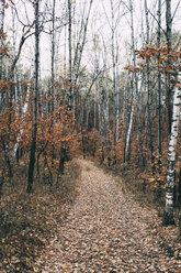 Russland, Blagoweschtschensk, Herbstlandschaft - VPIF00304