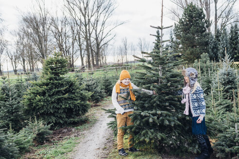 Bruder und Schwester suchen einen Weihnachtsbaum auf einem Bauernhof aus - MJF02206