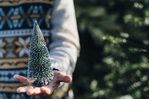 Kleiner Junge hält einen Spielzeug-Weihnachtsbaum, Nahaufnahme, lizenzfreies Stockfoto