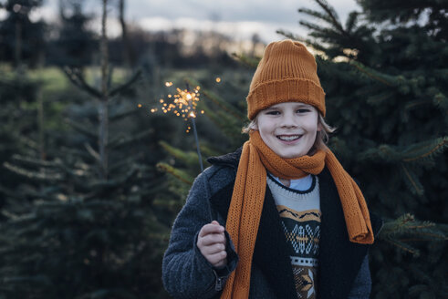 Boy holding sparkler in front of fir trees - MJF02224