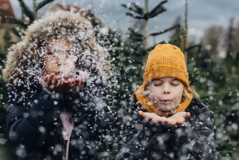 Bruder und Schwester haben Spaß mit Schnee vor Weihnachten - MJF02233