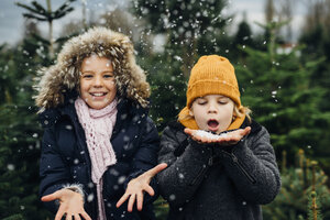 Bruder und Schwester haben Spaß mit Schnee vor Weihnachten - MJF02234