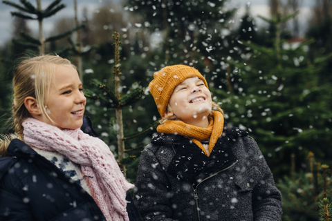 Brother and sister having fun with snow before Christmas stock photo