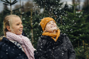 Brother and sister having fun with snow before Christmas - MJF02237