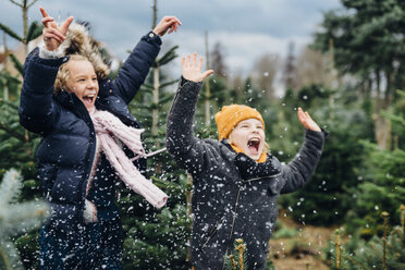 Bruder und Schwester haben Spaß mit Schnee vor Weihnachten - MJF02239