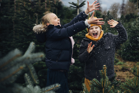 Bruder und Schwester haben Spaß mit Schnee vor Weihnachten, lizenzfreies Stockfoto