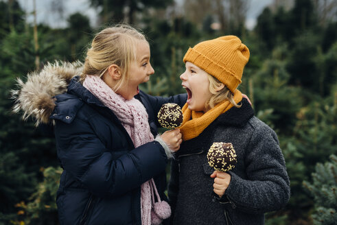 Brother and sister screaming at each other, holding chocolate dipped apples - MJF02245