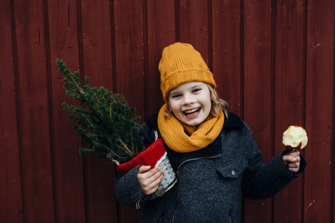 Laughing boy standing in front of wooden wall with potted Chritsmas tree and candied apple stock photo