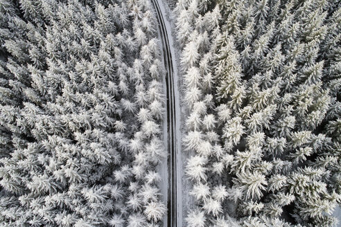 Schottland, Schnee auf Tannenbäumen, leere Straße - MJOF01459
