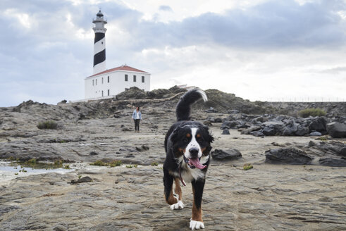 Spanien, Menorca, Berner Sennenhund läuft seinem Herrchen im Freien am Leuchtturm voraus - IGGF00287