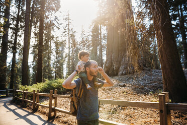 USA, Kalifornien, Vater und Baby besuchen den Sequoia-Nationalpark - GEMF01821