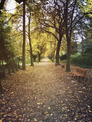 Deutschland, Berlin, Prenzlauer Berg, Leisepark - GWF05351