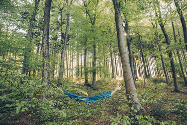 Deutschland, Rheinland-Pfalz, Vulkaneifel, Holzmaar, Hängematte zwischen Bäumen im Wald - GUSF00265