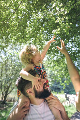 Little girl on her father's shoulders stretching to touch a branch - DAPF00842