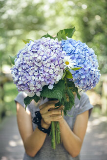 Unrecognizable young woman hiding behind a bouquet of hydrangeas - DAPF00861