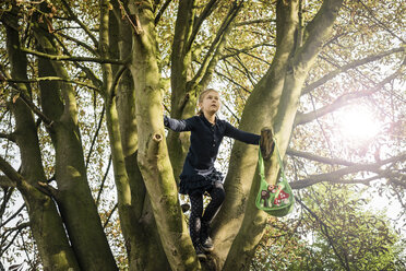 Mädchen klettert auf einen Baum - MOEF00562