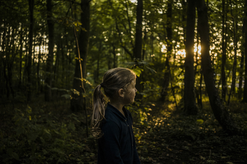 Girl in a forest at sunset stock photo