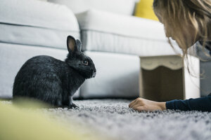 Mädchen mit Hase im Wohnzimmer - MOEF00578