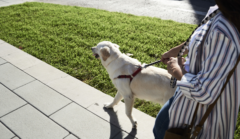 Junge Frau geht mit ihrem Hund auf dem Bürgersteig spazieren, lizenzfreies Stockfoto