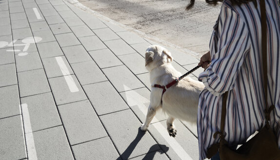 Junge Frau geht mit ihrem Hund auf dem Bürgersteig spazieren - IGGF00315