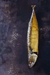 Geräucherte Makrele auf rostigem Boden - CSF28659