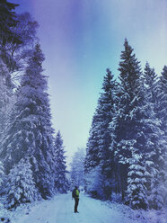Deutschland, Nordrhein-Westfalen, Eifel, Winter im Naturpark Hohes Venn - Eifel, Mann auf Wanderweg mit Blick auf schneebedeckte Tannen - GWF05370
