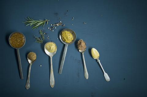 Homemade mustard, different sorts on spoon, honey mustard, sweet mustard, red wine mustard, herb mustard, grainy mustard, hot mustard stock photo