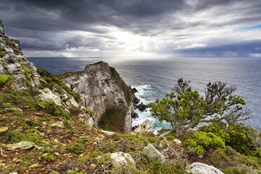 Afrika, Südafrika, Westkap, Kapstadt, Nationalpark Kap der Guten Hoffnung, Cape Point - FPF00137