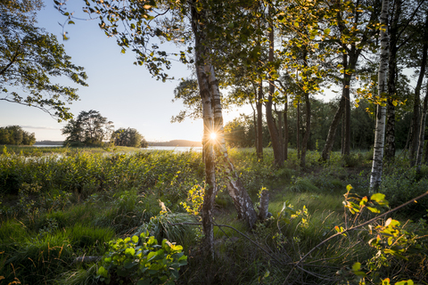 Sweden, Lake Bolmen, sunset stock photo