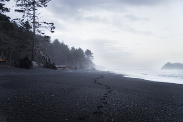 USA, Staat Washington, Olympic National Park, Seastack am Strand von Rialto - STCF00366