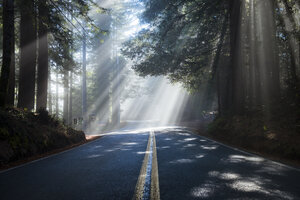 USA, Kalifornien, Highway 1, Sonnenstrahlen - STCF00385