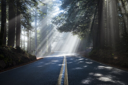 USA, Kalifornien, Highway 1, Sonnenstrahlen - STCF00385