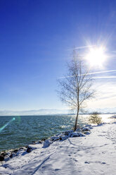 Schweiz, Thurgau, Bodensee, Romanshorn im Winter - PUF01040